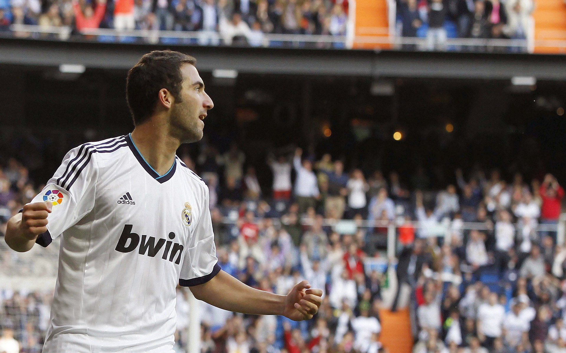 新西兰橄榄球赛事在全球范围内的转播权价值大增，新西兰橄榄球队徽